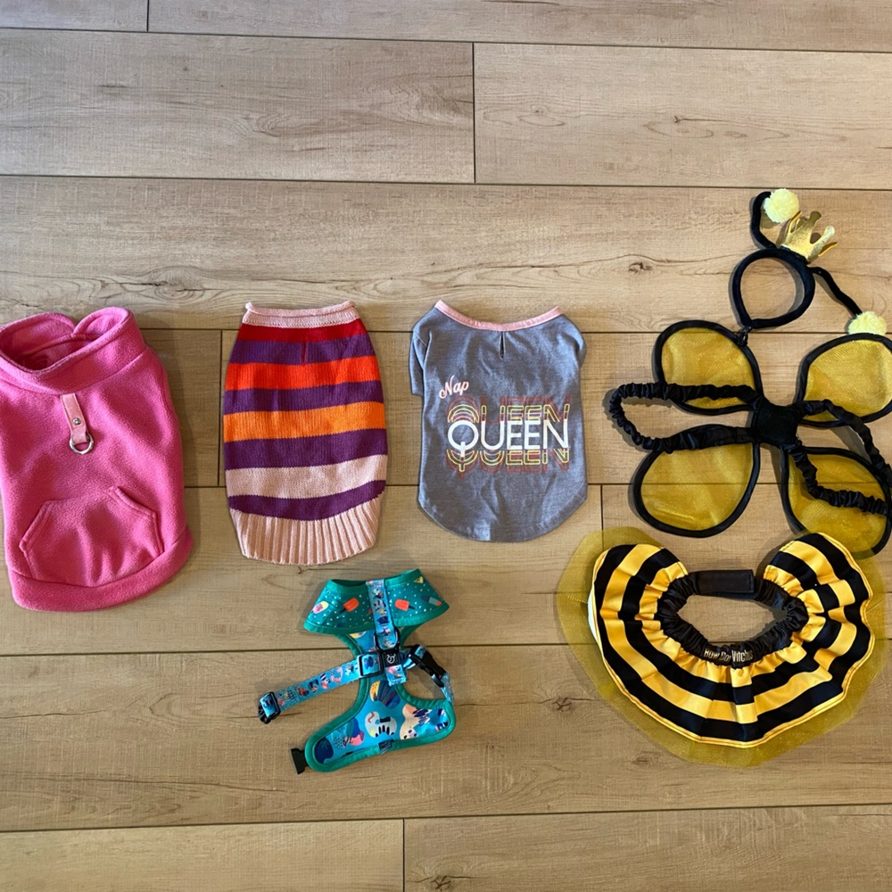 Dog Clothing Bundle – Dog Costume, Lucy & Co Popsicle Harness, dog sweater